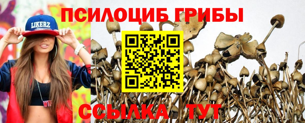 купить   Галлюциногенные грибы прущие грибы  Вход с VPN  Осинники 